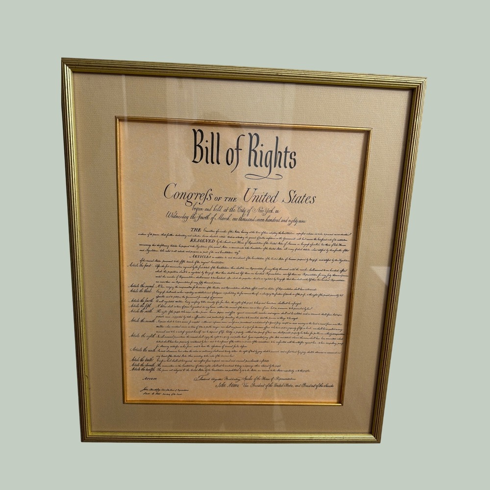 Sea Island Art Gallery Bill of Rights Framed Art Gold 16x20 Good Conditi History